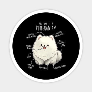 White Pomeranian Dog Anatomy Magnet